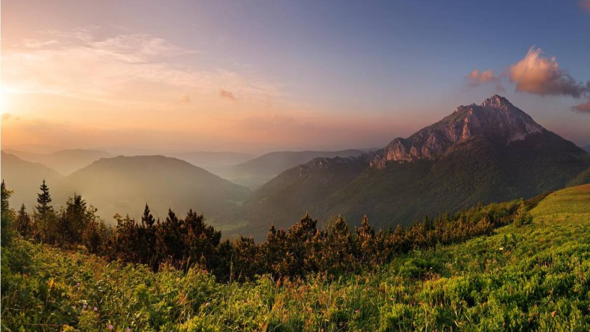 Lush greenery with rocks in the foreground under a light orange sky at sunset